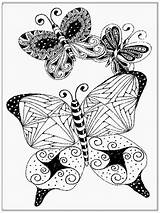 Zentangle Butterfly Butterflies Coloring Doodle Zentangles Zentagle Tangle Choose Board Zen Flickr Pages Kaynağı Makalenin Adult sketch template