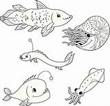 Sea Deep Fish Coloring Vector Illustrations Life Clip sketch template