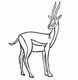 Antelope Colorat Antilopa Animale Desene Antilope Salbatice Gazelle Planse Fise Lucru Munte Gradinita Capra Pintarcolorir Cai Copii Educative Trafic Alege sketch template