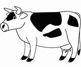 Cow Coloring Farm sketch template