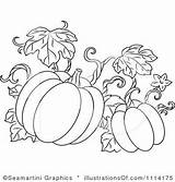 Pumpkin Clipart Pumpkins Coloring Vine Clip Pages Vines Illustration Fall Royalty Drawing Easy Halloween Vector Graphics Kids Color Dibujos Turkey sketch template