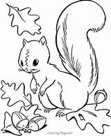 Coloring Fall Pages Squirrel Autumn Printable Color Sheets Choose Board Acorns Printables Preschool Leaf sketch template