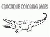 Crocodile Krokodil Alligator Crocodiles Ausmalbilder Bestcoloringpagesforkids Croc Ausmalbild Coloringhome sketch template