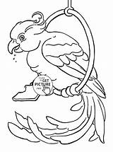 Parrot Coloring Pages Kids Animal Drawing Pet Library Print Getdrawings sketch template