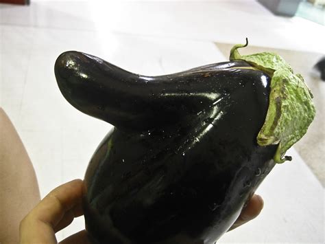 File Eggplant Mutant  Wikimedia Commons