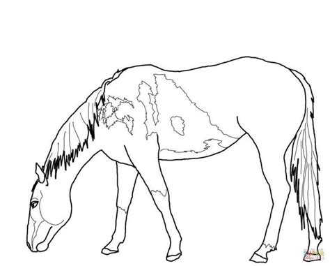 easy coloring pages  horses   horse coloring pages easy