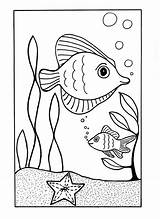 Coloring Pages Ocean Sea Fish Summer Under Animal sketch template