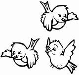 Oiseau Flying Envole Template Getcolorings Tweety sketch template