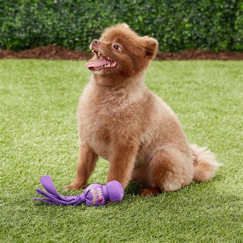dog toys  small breeds
