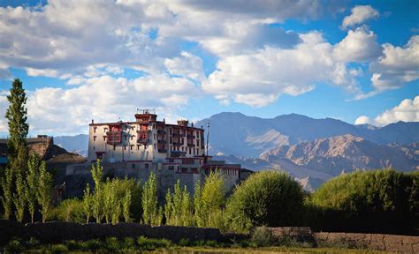 stok palace heritage hotel ladakh heritage hotels  leh ladakh