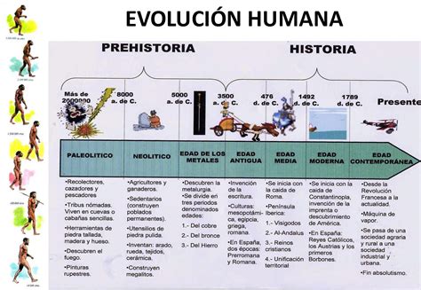 Linea Del Tiempo Teorias De La Evolucion Vida Evolucion Images