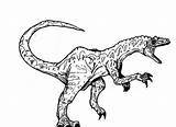 Allosaurus Coloring Screaming Pages Color Colouring Kidsplaycolor Choose Board sketch template