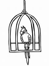 Cage Bird Coloring Clipart Parrot Cages Pages Printable Cute Pet Clipartmag Getdrawings Color Getcolorings Cliparts sketch template
