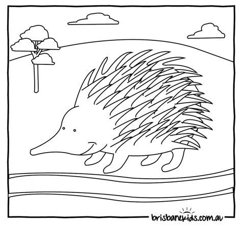 australian animals colouring pages animal coloring pages australian