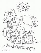 Coloring Grass Pages Cow Popular Sun Eating sketch template