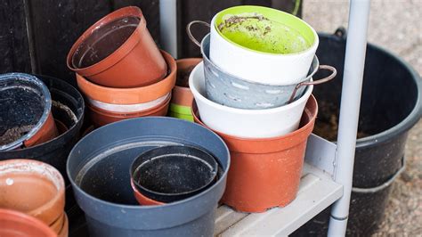 clean  flower pots  reusing   hurting  plants