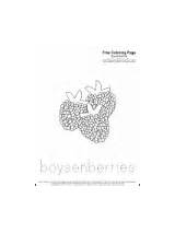 Coloring Fruit Space Pages Boysenberries sketch template