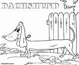 Dachshund Coloring Pages Colorings sketch template
