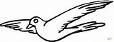 Volo Piccione Uccelli Palomas Paloma Volano Pigeon Disegnare Colomba Animali sketch template