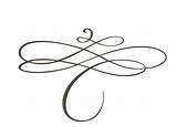 Calligraphy Flourish Vector Separator Drawn Hand Swirls Designer Elements Vecteezy Pro Happymeluv sketch template