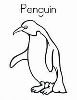 Penguin Coloring Pages Print Printable Kids Club Cute Patterns sketch template