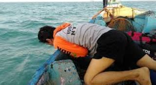 mengatasi mabuk laut bagi pelaut pemula ikan  laut