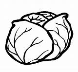 Cabbage Coloring Pages Abc Colored sketch template