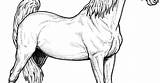 Coloring Pages Saddlebred Horse American sketch template