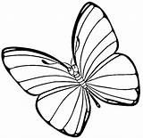 Motyl Kolorowanki Kolorowanka Wielkanocny Schmetterling Ostern Druku Easter Wielkanoc sketch template