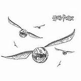 Potter Harry Snitch Golden Coloring Pages Printable Drawing sketch template