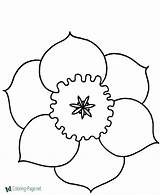 Coloring Flowers Pages Flower Printable Color Below Click sketch template