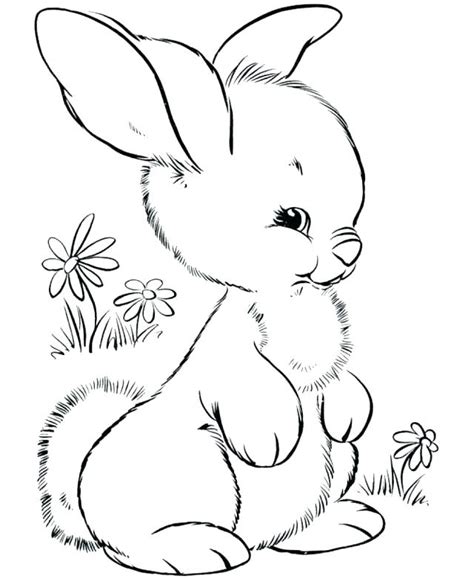 woodland coloring page images