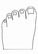 Toes Tenen Kleurplaat Dedos Colorare Zehen Malvorlage Piedi Dita Toe Foot Grote Disegni sketch template