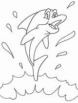 Desenhos Golfinhos Colorir sketch template