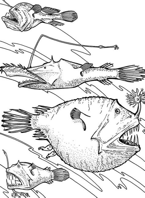 angler fish  deep sea fish coloring pages  place  color