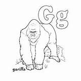 Coloring Pages Letter Gorilla Color Printable Toddler Learn Will sketch template