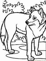 Coloring Pages Wolves Wolf Printable Color Kids Sheets Animals Popular Loup Colouring Book sketch template