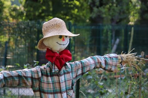 How To Make A Simple Scarecrow Farm And Dairy