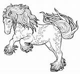 Cheval Cavallo Tinker Trot Paard Trotto Thoroughbred Draf Kleurboek Imprimer Corre Loopt Volbloed Lato Sauvegarder Dessins sketch template
