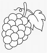 Grapes Grape Anggur Senses Daun Kindpng Umum Pngitem Similars sketch template