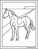Horse Coloring Pinto Paint Pages Horses Drawing Sheet Clydesdale Template Printable Riding Getdrawings Colorwithfuzzy sketch template