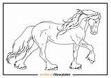 Paarden Kleurplaten Fries Paard 1001 Downloaden Uitprinten sketch template