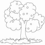 Tree Drawing Color Kids Drawings Coloring Getdrawings Childern Below Down Find Will sketch template