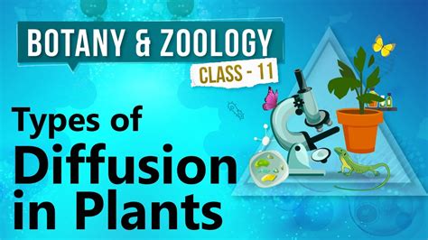 types  diffusion  plants plant water relation  mineral