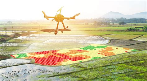 drones  precision agriculture    australia consortiq