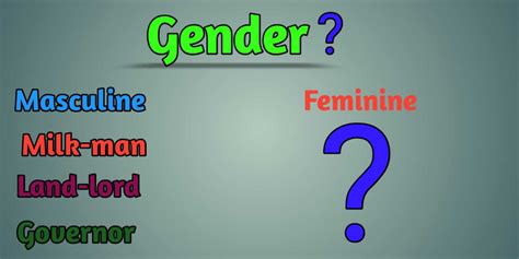 Gender And Its Types Basic To Advanced Kinds Of Gender With Example