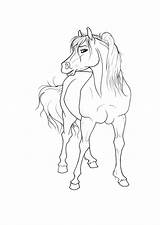 Paarden Kleurplaten Dieren Kleurplaat Equine Coloriages Animaatjes Animes sketch template
