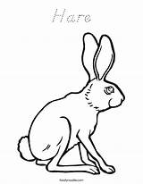 Hare Coloring Built California Usa sketch template