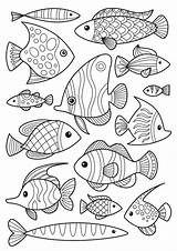Fishes Druku Ryby Kolorowanka Kolorowanki Rybek Antistress Zestaw Drukowania Planetadziecka sketch template