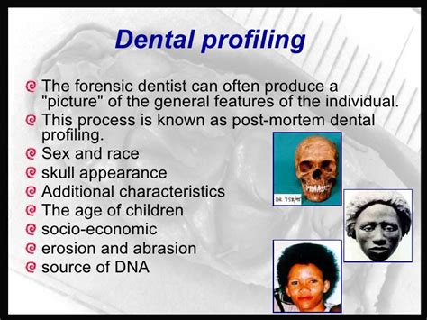forensic odontology dentistry